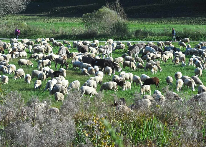 Appartement Mountain&lake Terrace Retreat *