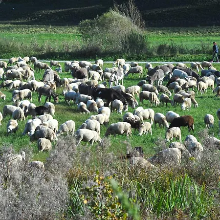 Appartamento Mountain&lake Terrace Retreat *